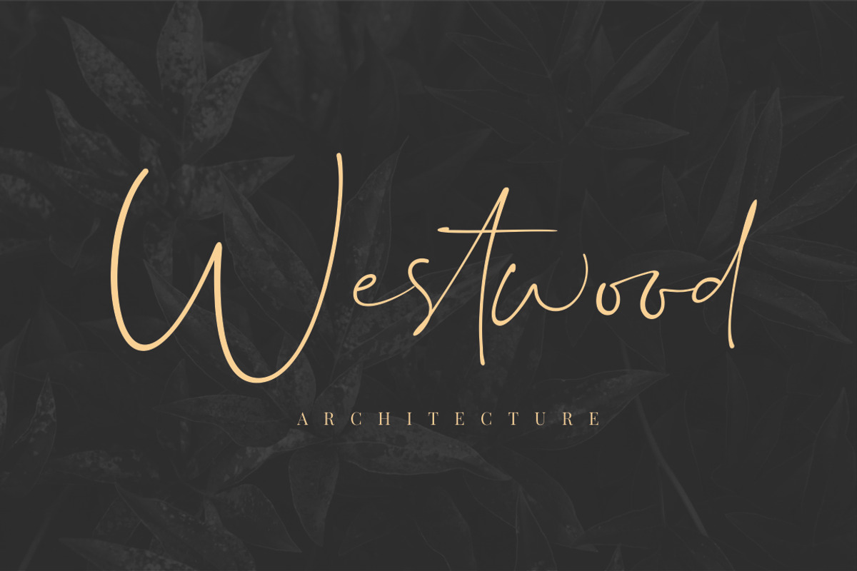 Dalmatins // Elegant Signature Font preview 4