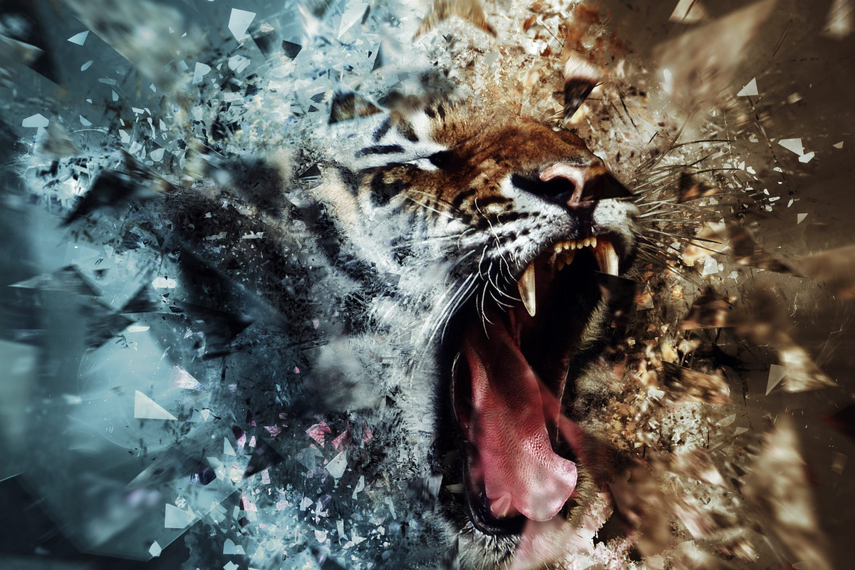 Fragment Photoshop Action, an Action Add-On by Sevenstyles (Photo 14 of 15)
