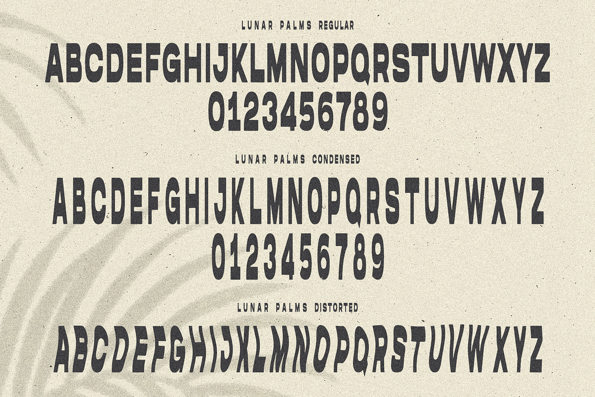 LUNAR PALMS Font, a Font by Cameron Humphries (Photo 7 of 7)
