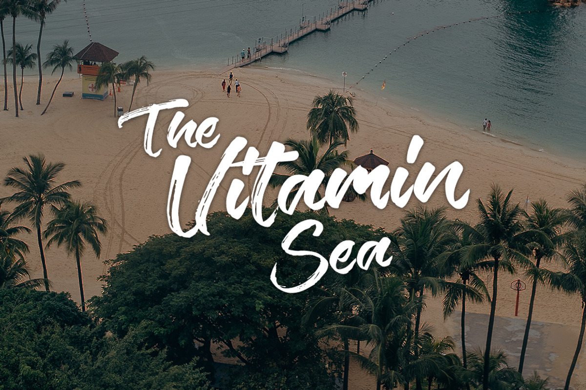 Verbena Handstylish Font preview 6
