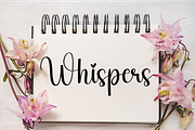 Bride, a Handwritten Font by InermediaSTUDIO (Thumbnail 8 of 8)