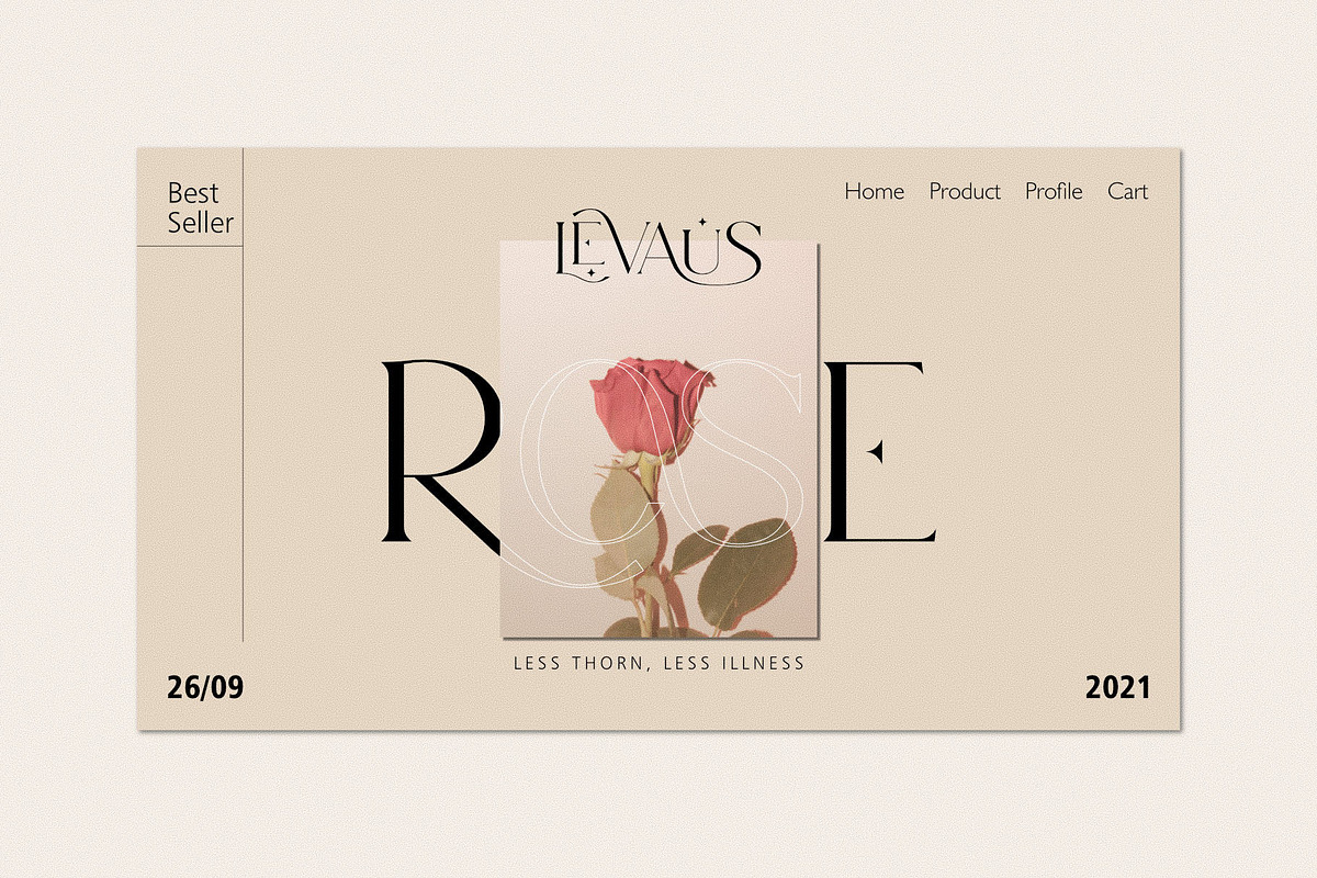 Ligature Font Bundle, a Serif Font by Graphicxell (Photo 16 of 48)