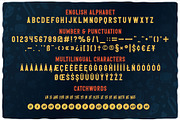 Whisky Trail Font + bonus!, a Symbol Font by VozzyStock (Thumbnail 2 of 10)