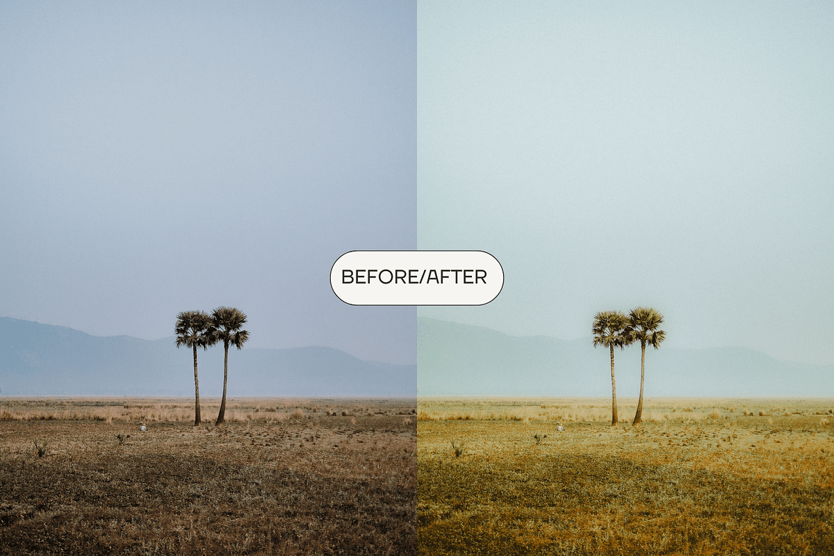 KODAK LIGHTROOM MOBILE PRESETS, a Plug-in Add-On by AmuletPresets (Photo 7 of 8)