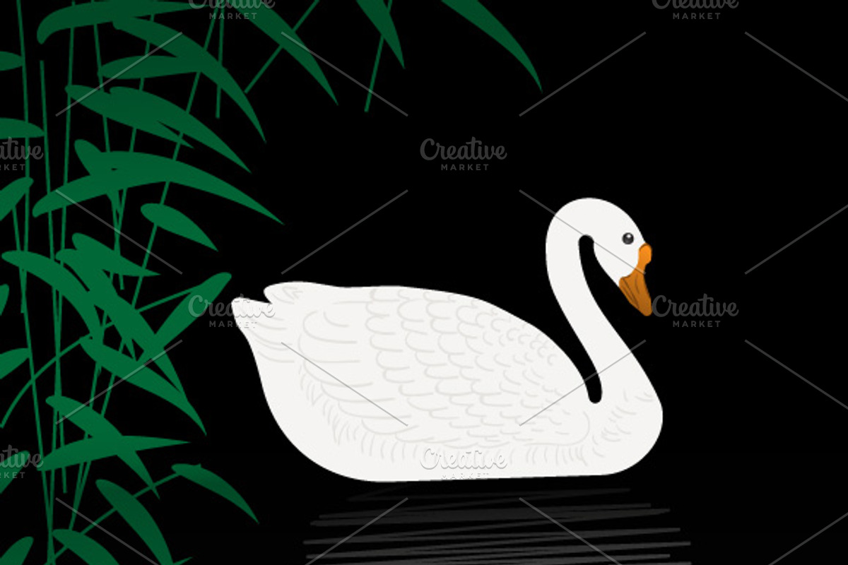 Seamless vector patterns with swans, a Pattern Graphic by mnke art studio (Photo 2 of 2)