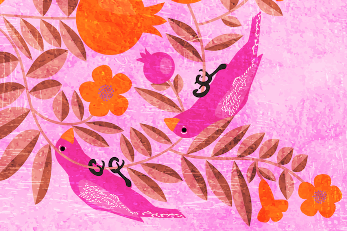 Birds in pomegranate garden, an Education Illustration by Jema's (Photo 2 of 2)
