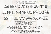 Victory, a Sans Serif Font by InermediaSTUDIO (Thumbnail 7 of 7)