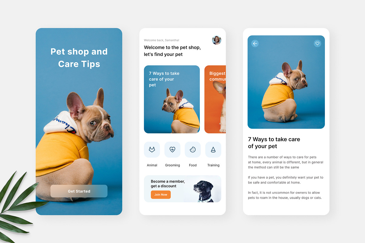 Hayvon - Pet Shop Grooming App, an UI Kit Template by Panen Creative (Photo 3 of 4)