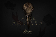 NOCTURNA Hidden Secrets Collection, a Decorative Illustration by Muse Artist (Thumbnail 37 of 47)