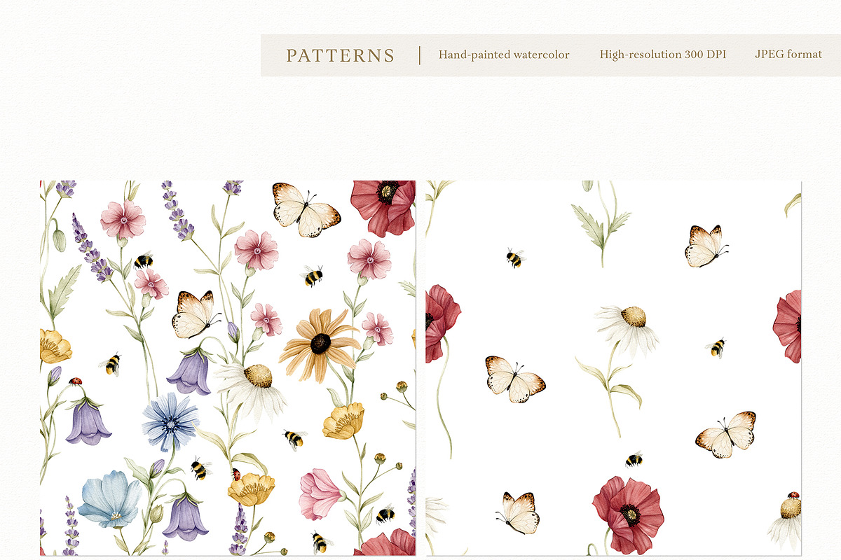 Watercolor Botanical Wildflowers Set, a Decorative Illustration by Carol Lozove (Photo 25 of 36)