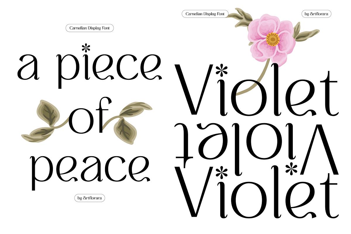CARNELIAN - Display Variable Type, a Sans Serif Font by Artflorara (Photo 9 of 15)