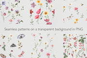 Field of wildflowers, an Object Illustration by ViolettaKh (Thumbnail 3 of 12)