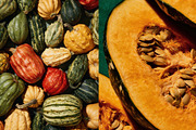 Vegetable Image Collection, a Food & Drink Photo by nkate (Thumbnail 2 of 15)