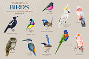 Australia Flora Fauna Clipart, an Animal Illustration by AnitaPol (Thumbnail 7 of 27)
