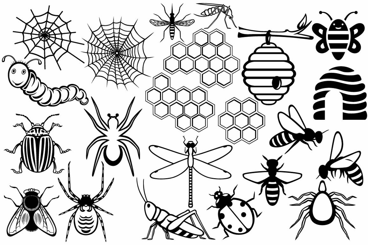 Group of different insects, an Outline Icon by LineworkStock (Photo 1 of 3)