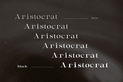 AristocratEstate - Luxury Serif Type, a Serif Font by HipFonts (Thumbnail 4 of 9)