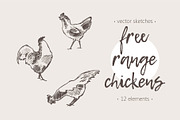 Set of a hand drawn chickens, an Animal Illustration by TheMountBirdStudio (Thumbnail 1 of 5)