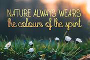 Traveler Font + BONUS pack, a Script Font by VectorBurn (Thumbnail 4 of 5)