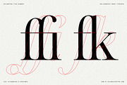 Netsera Calligraphic Serif Typeface, a Serif Font by SilverStag Type Foundry (Thumbnail 12 of 30)