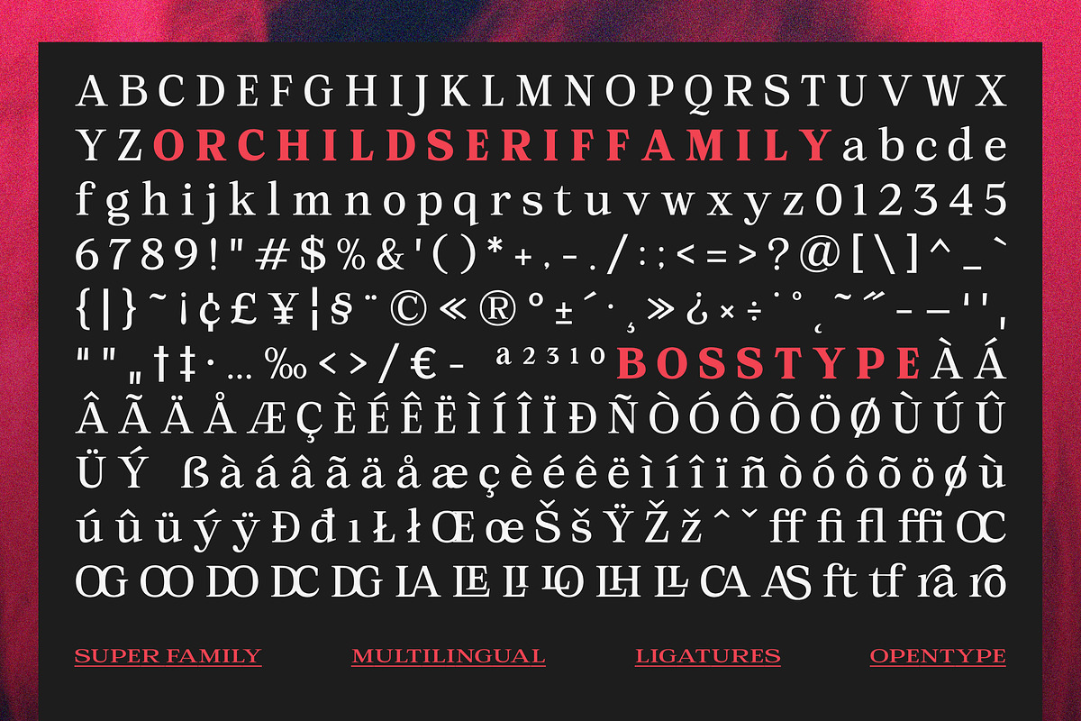 Orchild Serif | 91 Style Font, a Serif Font by Bosstype Studio (Photo 12 of 12)