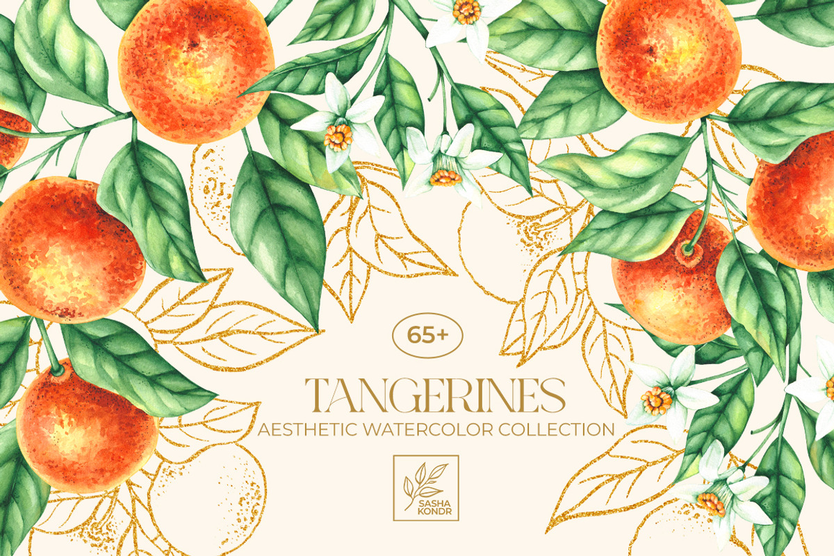 Tangerines Watercolor collection, a Decorative Illustration by SashaKondr (Photo 1 of 14)
