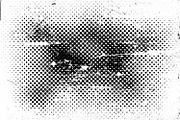 Grunge Halftone Textures, a Texture Graphic by alexdndz (Thumbnail 2 of 11)