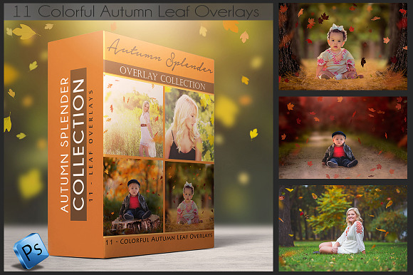 Leaf Overlays - Autumn Splender preview 6