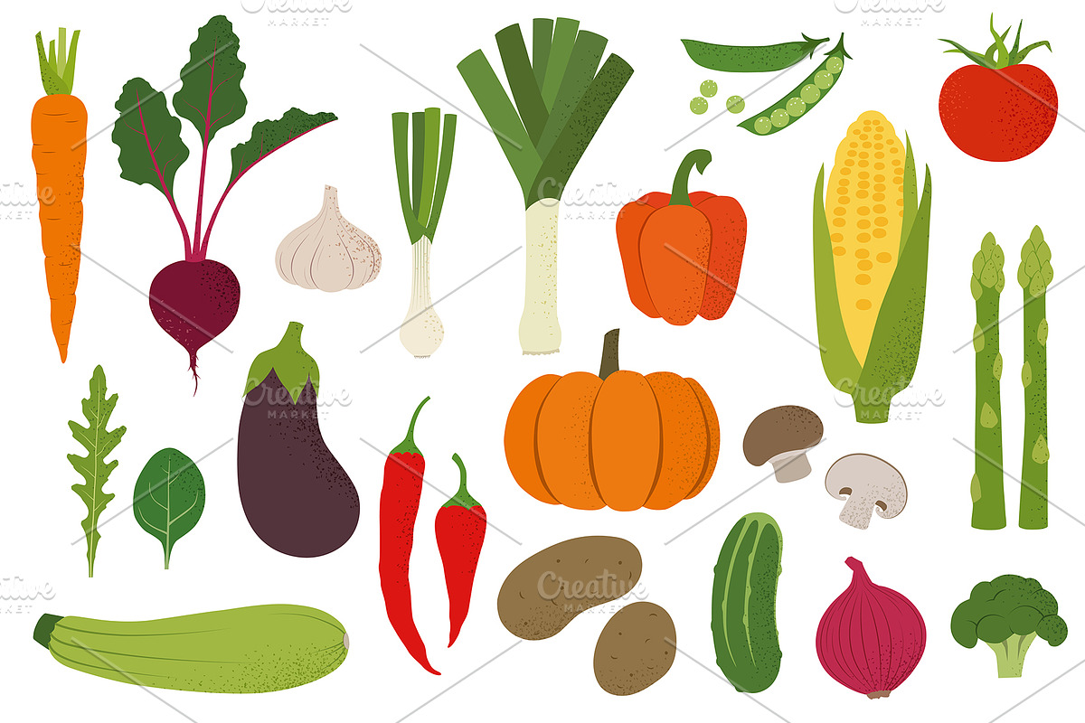 Vegetable garden. Vector., a Food Illustration by Paper Cards (Photo 1 of 5)