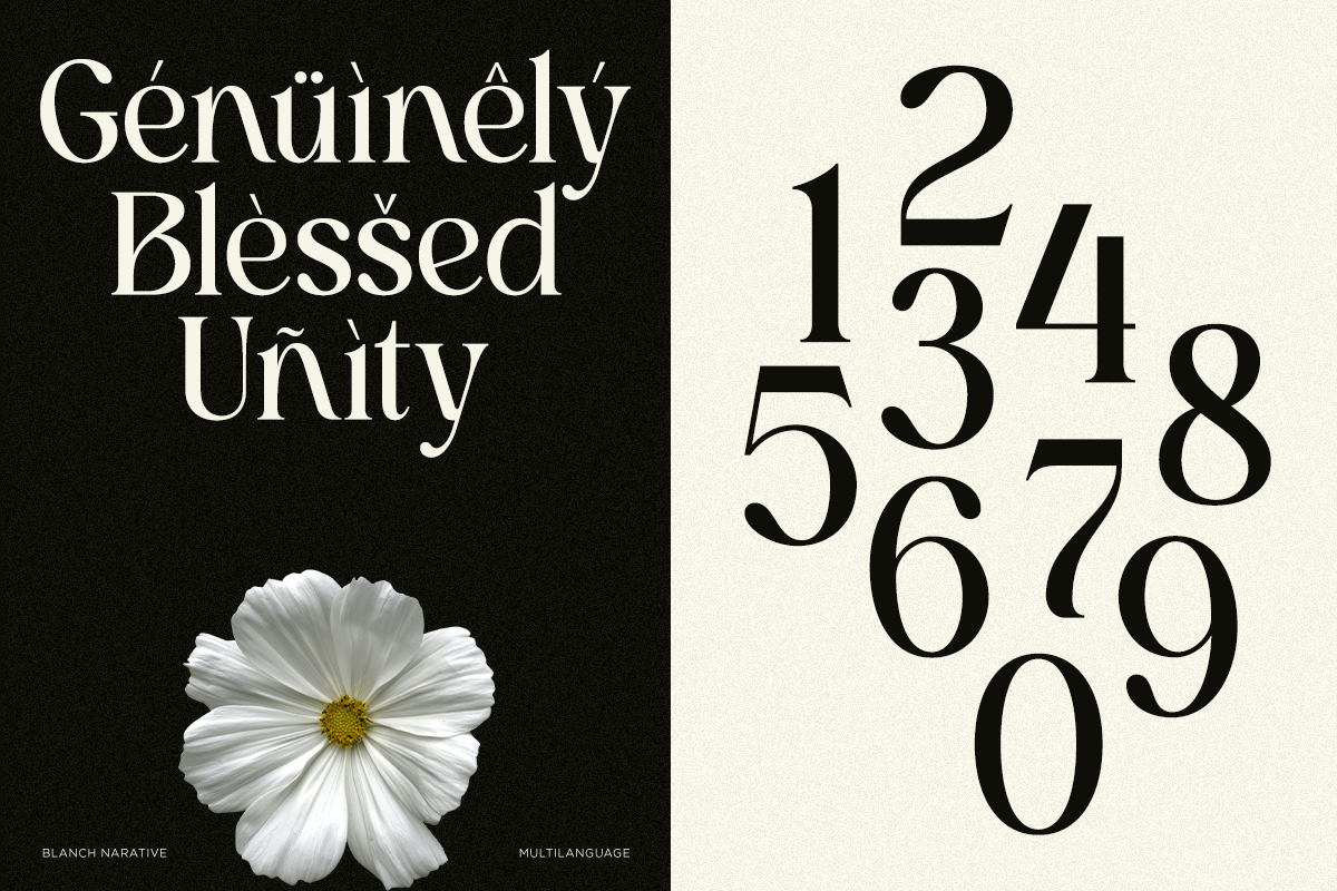 Blach Narative - Beauty Serif Font, a Serif Font by Font Liner (Photo 7 of 10)