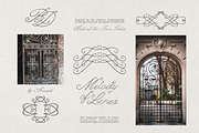 Alkes Romantic Whimsical Script Font, a Script Font by AnMark (Thumbnail 3 of 12)