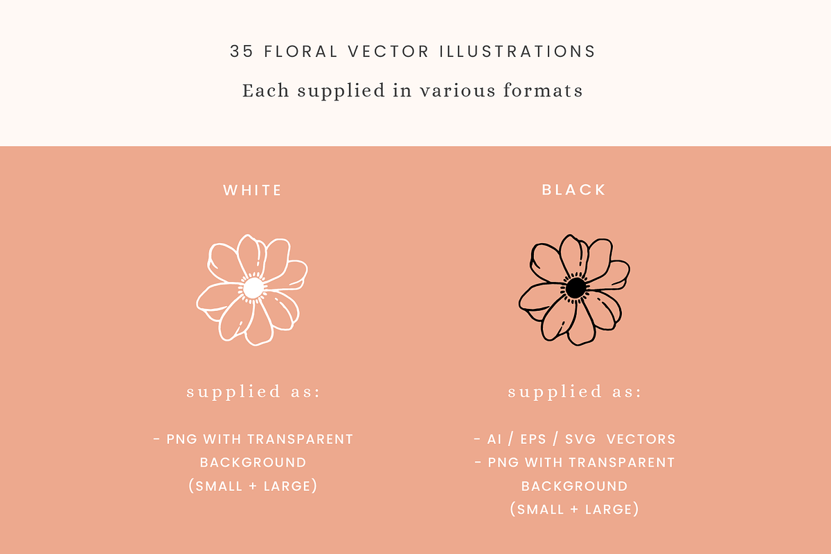 Floral Vector Illustrations, a Decorative Illustration by Emma Webb Studio (Photo 4 of 5)