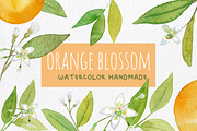 Orange Blossom - Watercolor handmade, an Illustration by MaraquelaStudio (Thumbnail 1 of 6)