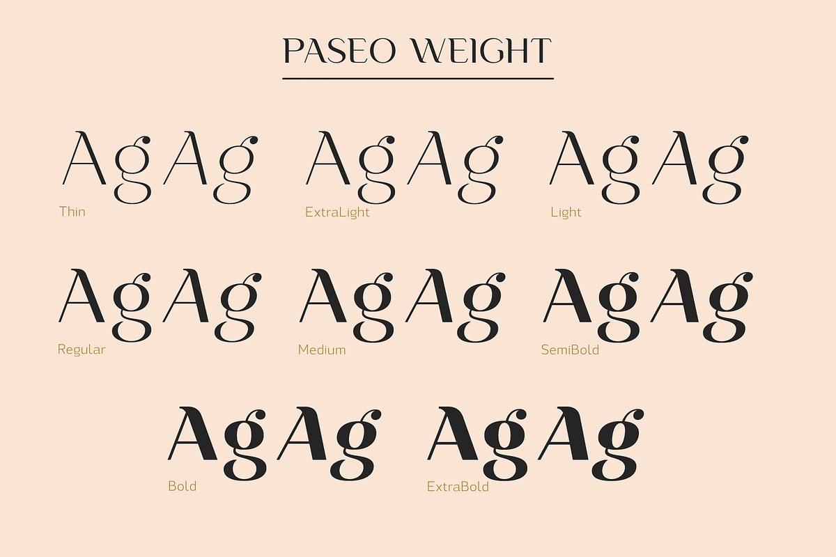 Paseo, a Sans Serif Font by Larin Type Co. (Photo 8 of 15)