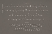 The Hamstter Signature Font, a Script Font by Vultype Co. (Thumbnail 9 of 11)