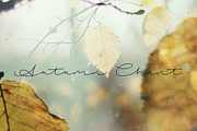 Autumn Chant, a Handwritten Font by Roland Huse Design (Thumbnail 1 of 3)