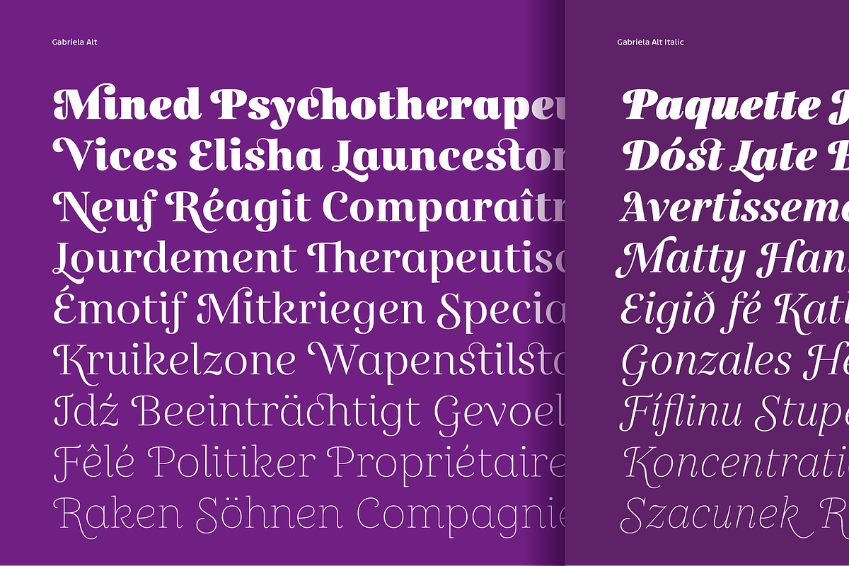 Gabriela, a Serif Font by Lechuga Type (Photo 8 of 17)