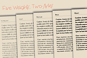 Cocosignum - 10 fonts, a Sans Serif Font by Zetafonts (Thumbnail 6 of 10)