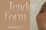 CS Belova Halfpixel, a Serif Font by Craft Supply Co. (Thumbnail 6 of 8)