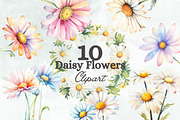 Daisy Flowers Watercolor Clipart Set, a Decorative Illustration by Loony Dream Designs (Thumbnail 1 of 4)