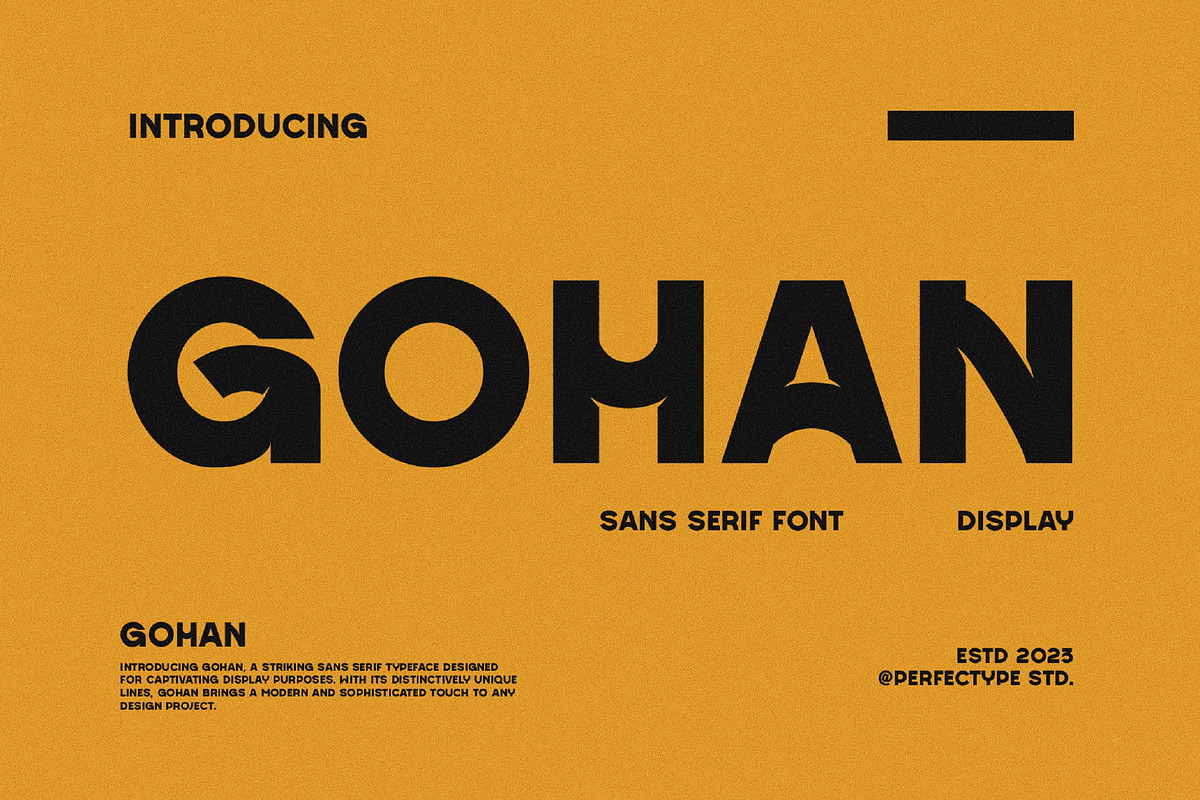 Gohan Modern Futuristic Sans Serif, a Sans Serif Font by Perfectype (Photo 1 of 7)