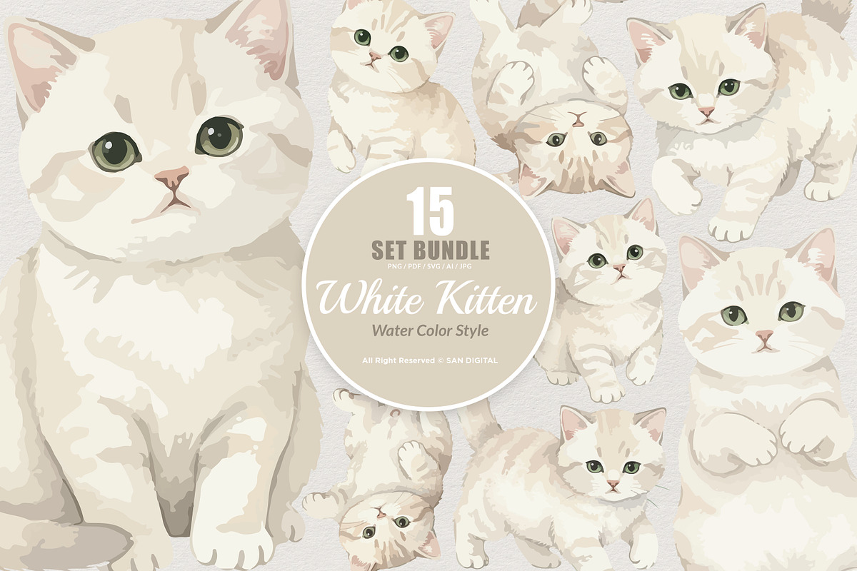 15 Bundle Watercolor White Kitten, an Animal Illustration by Morspective (Photo 1 of 8)