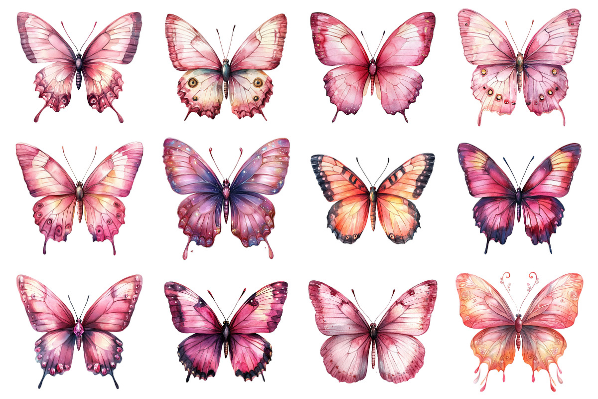 Pink Butterfly Watercolor Clipart, an Illustration by Dream Creation (Photo 3 of 5)