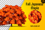CUT OUT TREES - 60 PCS BUNDLE, a Packaging Mockup by 3DSTORE (Thumbnail 56 of 63)