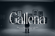 Aligin Serif - Modern Serif Font, a Serif Font by Idea Studio (Thumbnail 6 of 12)