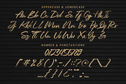 Reinkies - Authentic Brush Script, a Script Font by Almarkhatype (Thumbnail 8 of 10)