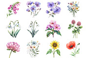 Wildflower Watercolor Clipart Bundle, an Illustration by DreamCafeArt (Thumbnail 3 of 5)