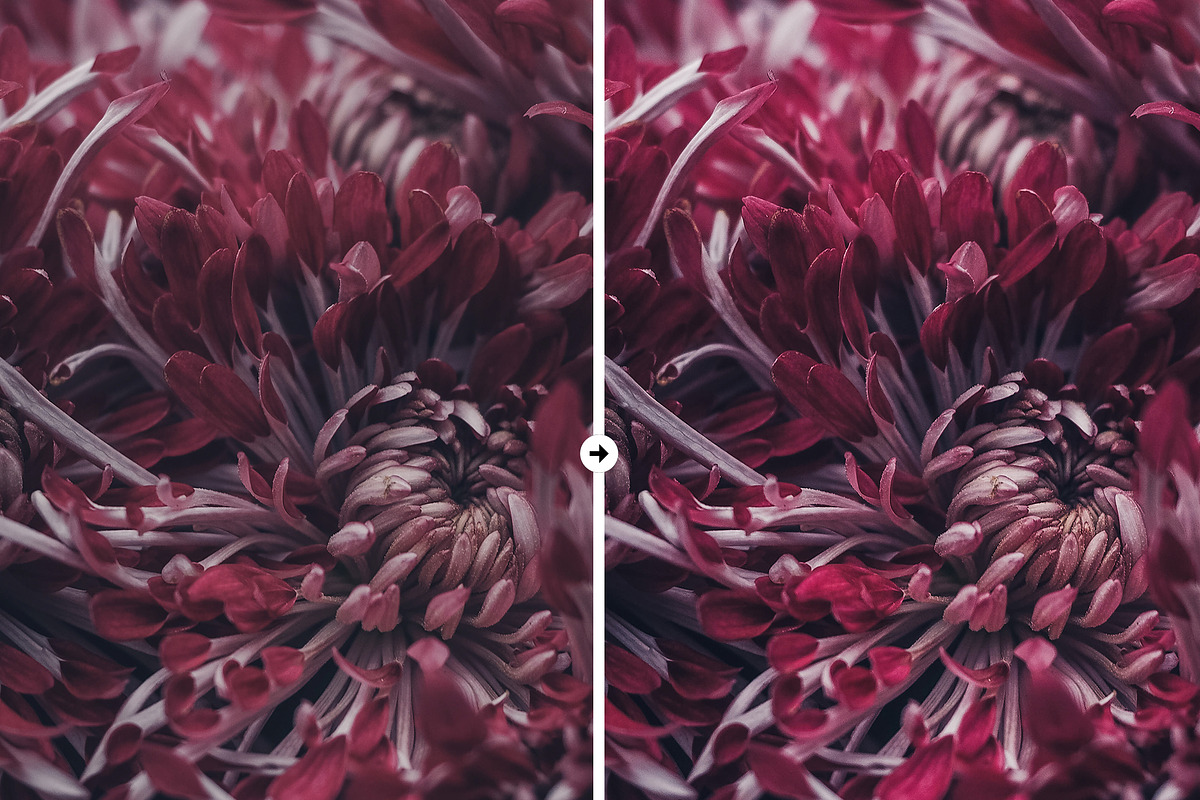 3 Macro Pop Detail LR & PS Presets, an Action Add-On by M E G A S E T S (Photo 3 of 6)