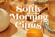 Evorine Stylish Serif, a Serif Font by Letterhend Studio (Thumbnail 4 of 11)