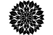 Vintage Floral Mandala Bundle, a Decorative Illustration by Designer_Momina (Thumbnail 15 of 20)
