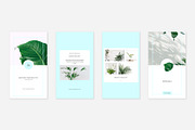 Light CANVA Instagram Stories Pack, a Social Media Template by Swiss_cube (Thumbnail 9 of 10)